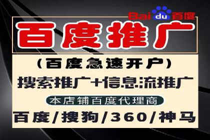 推广竞价策略优化：借鉴成功案例实现高效转化